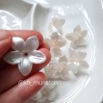نرگس صدفی - تصویر 2
