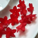 شکوفه نرگسی دم دار - تصویر 3