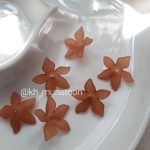 نرگس بی دم - تصویر 3