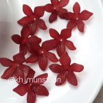 نرگس بی دم - تصویر 4