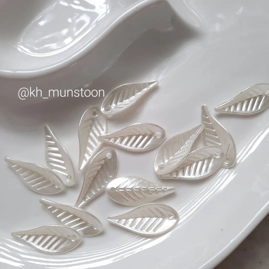 kh_munstoon_2-۲۰۲۳۰۵۲۲-0002 برگ صدفی شمشیری - تصویر 1