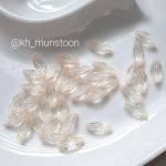 گندمی شفاف - تصویر 6