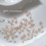 گندمی کوچیک - تصویر 2