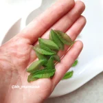 برگ پیچ کوچیک - تصویر 5