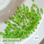 گندمی کوچک - تصویر 3