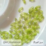 گندمی کوچک - تصویر 4