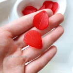 پا اردکی قرمز - تصویر 2