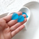 پا اردکی آبی - تصویر 2