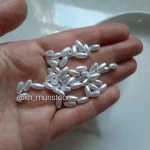 گندمی صدفی کوچیک - تصویر 2