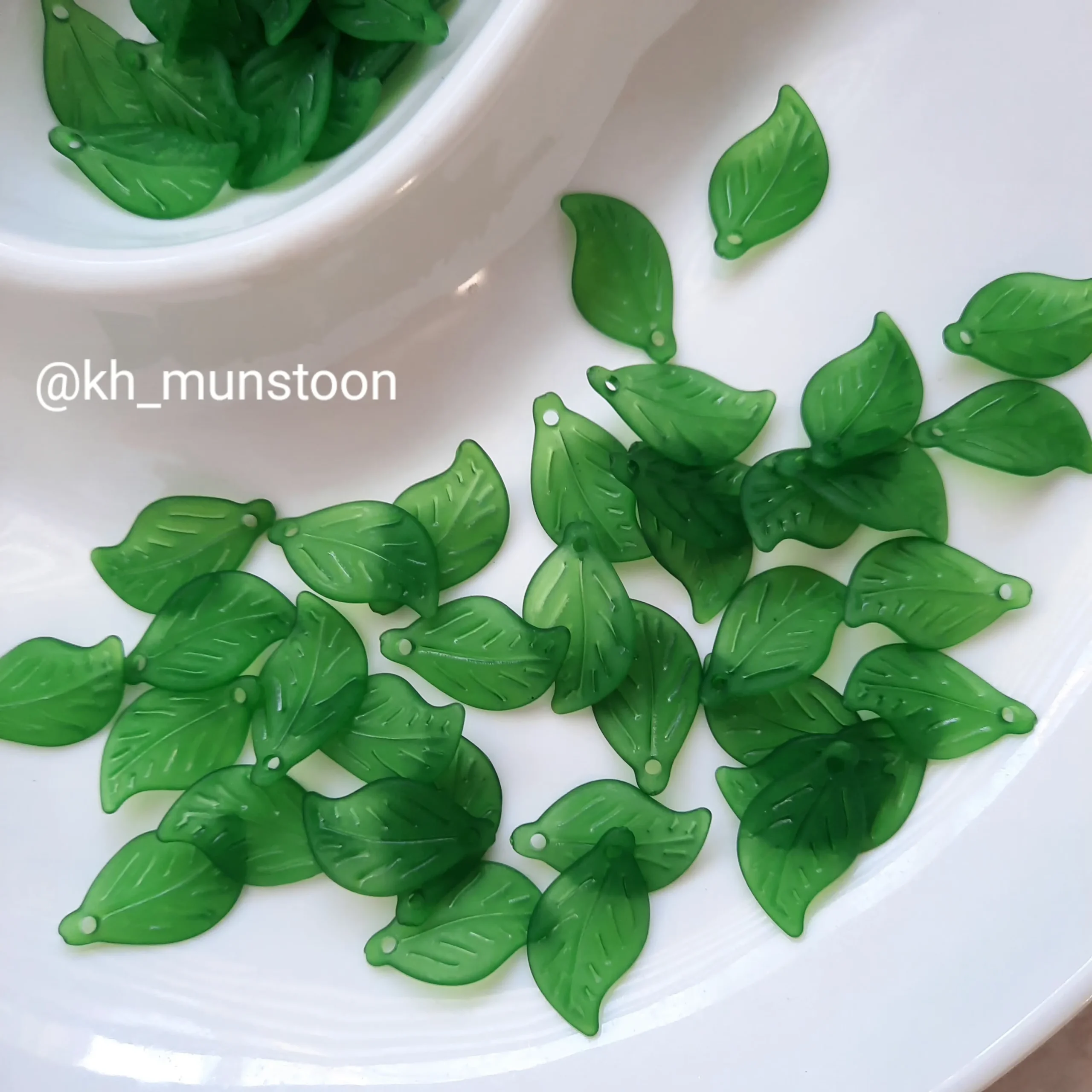 ۲۰۲۵۰۱۱۹_۱۴۴۰۲۱ برگ ریز مات - تصویر 1
