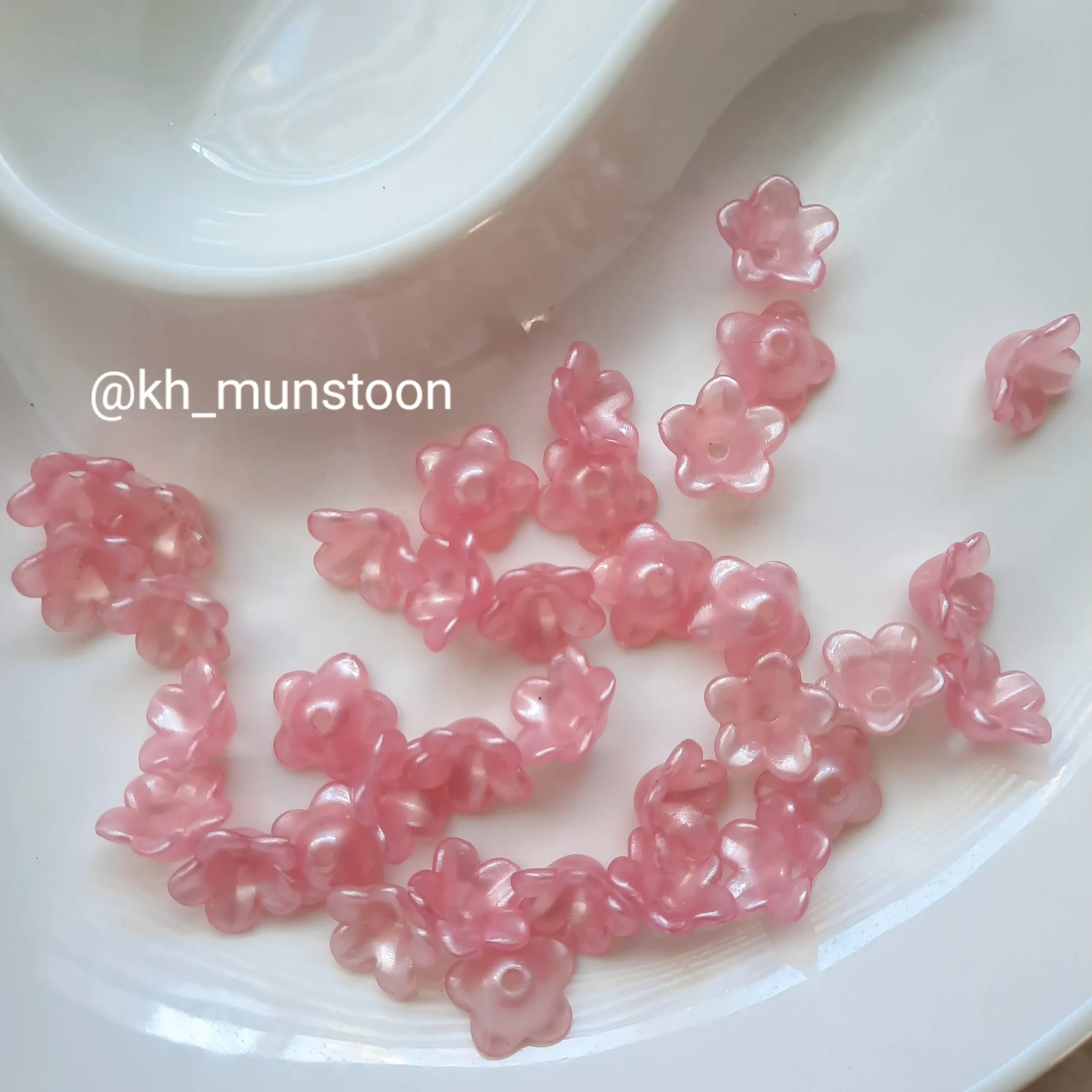 ۲۰۲۵۰۱۱۹_۱۴۴۱۵۵ شکوفه صورتی - تصویر 1