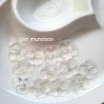 پامچال شیشه ای
