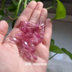 گندمی درشت یاسی - تصویر 2