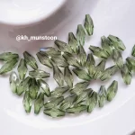 گندمی درشت سبز