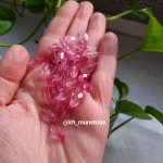 گندمی کوچیک رنگی - تصویر 5