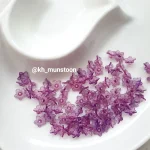 شکوفه ریز شیشه ای - تصویر 28