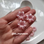 شکوفه برفی صورتی - تصویر 3