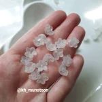 شکوفه ریز مات - تصویر 20