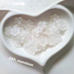 شکوفه مات 6برگ - تصویر 10