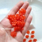 شکوفه مات 6برگ - تصویر 24