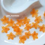 نرگس کوچیک