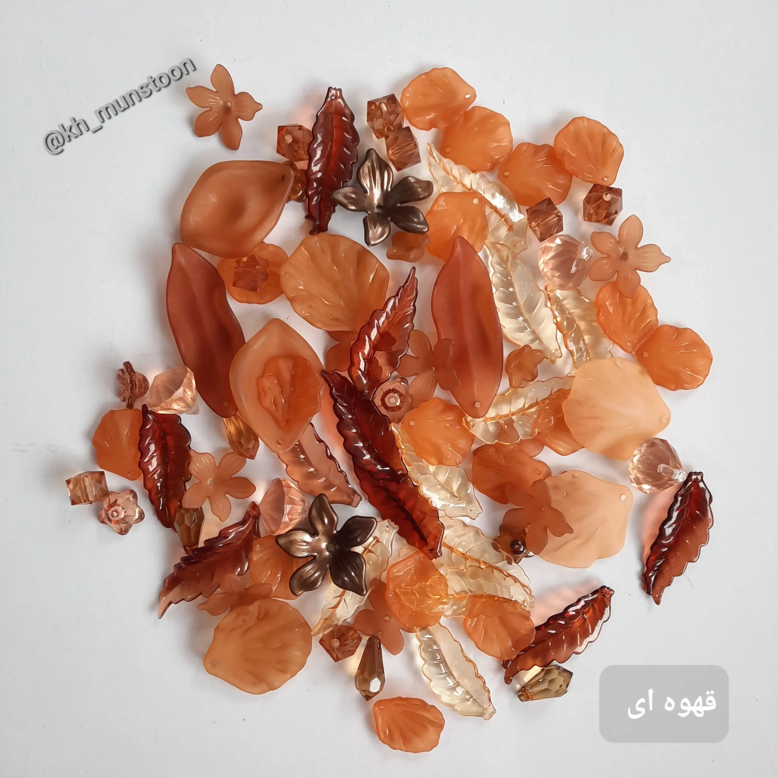 ۲۰۲۵۱۰۱۳_۱۴۵۳۵۹ پک شکوفه قهوه ای - تصویر 1