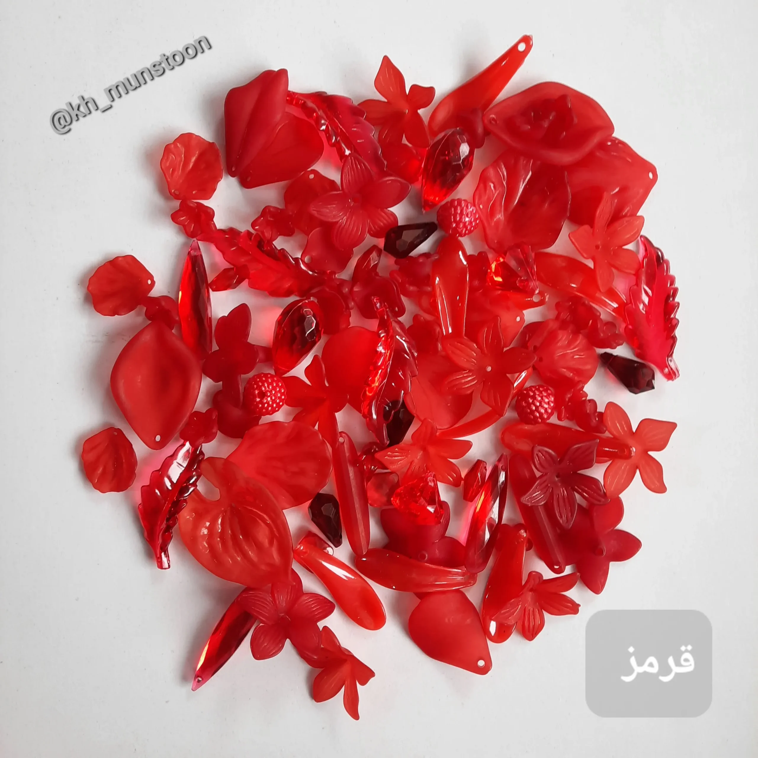 ۲۰۲۵۱۰۱۳_۱۵۱۵۲۷ پک شکوفه قرمز - تصویر 1