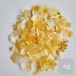 پک شکوفه زرد