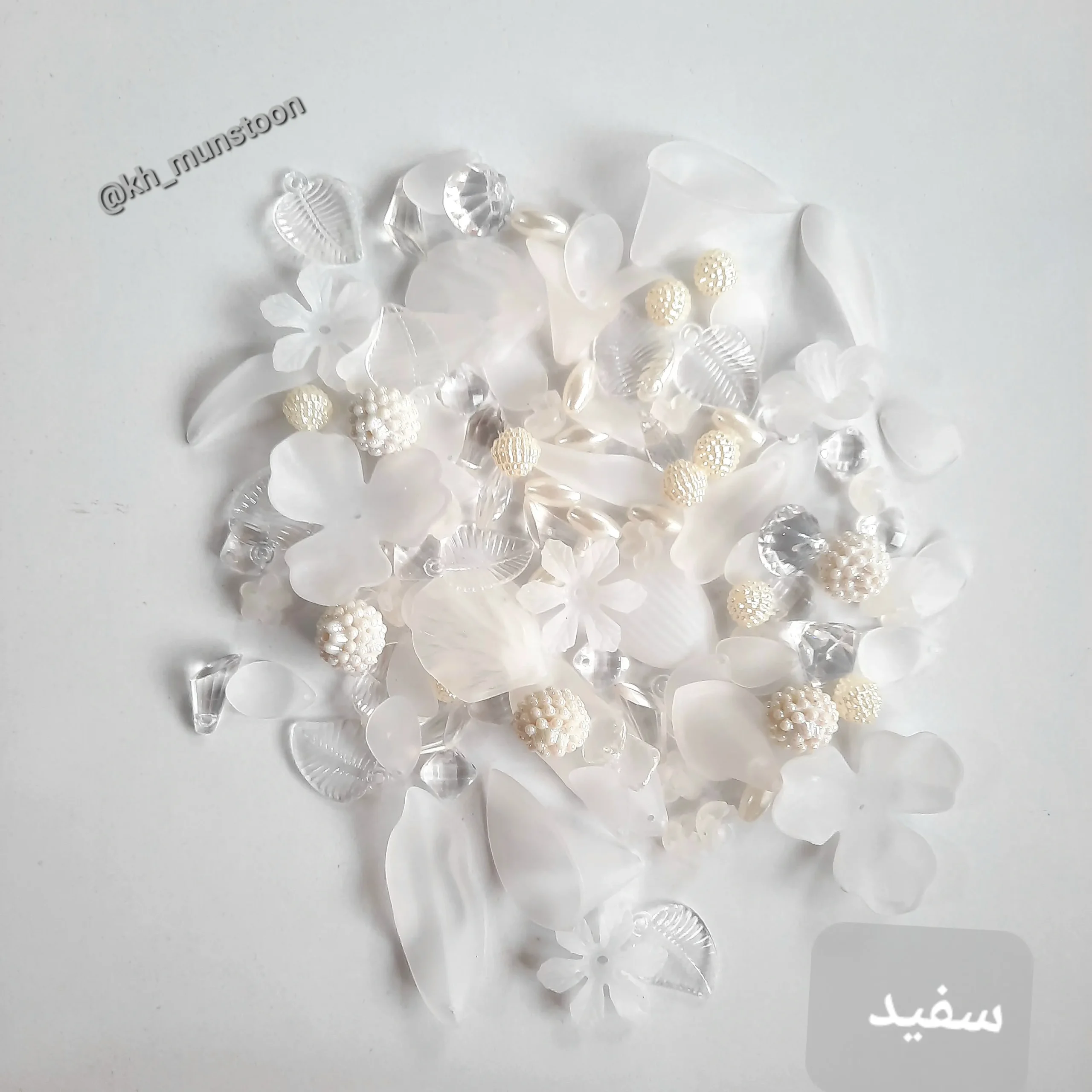 ۲۰۲۵۱۰۱۳_۱۵۲۵۲۵ پک شکوفه سفید - تصویر 1