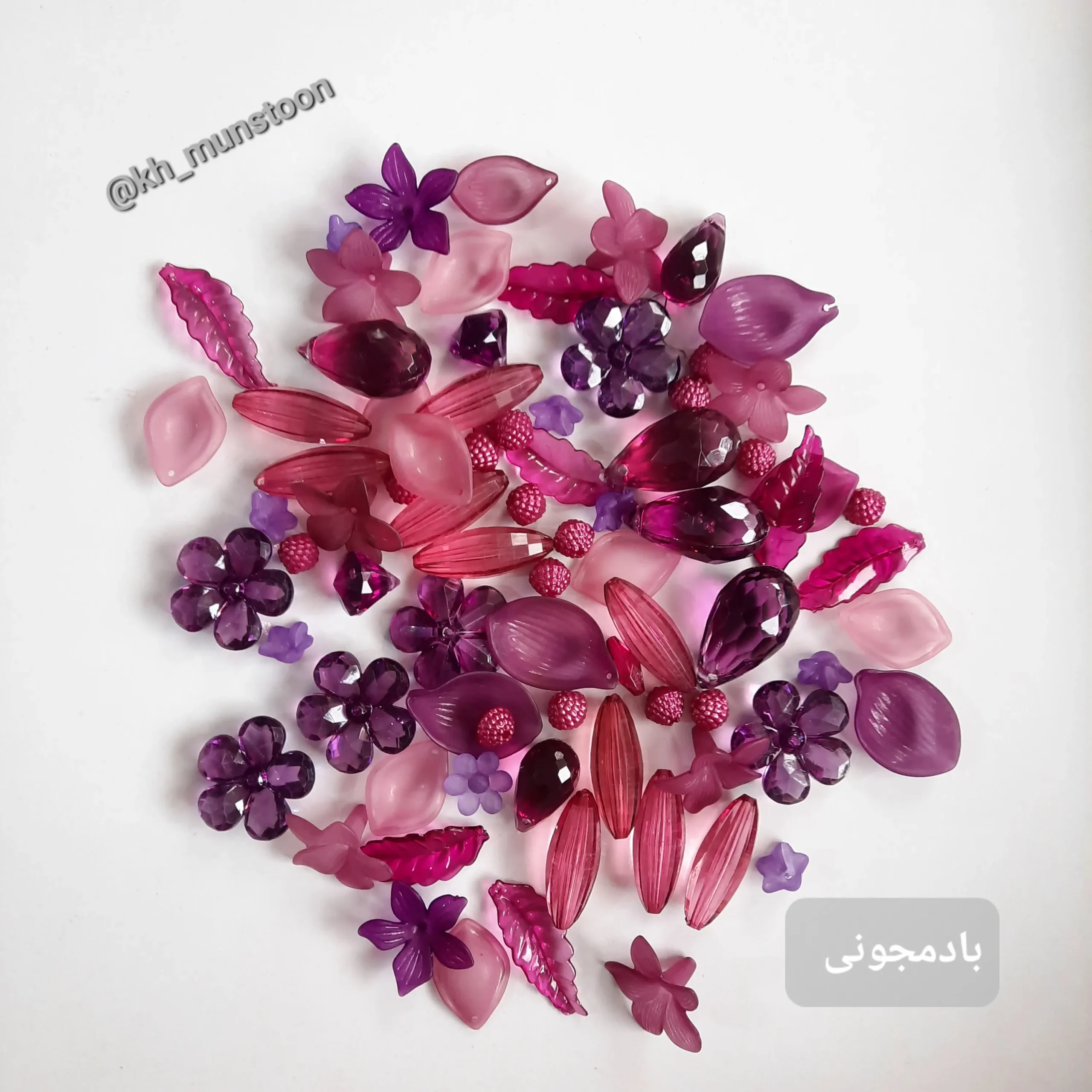 ۲۰۲۵۱۰۱۳_۱۵۳۱۰۶ پک شکوفه بادمجونی - تصویر 1