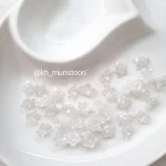 شکوفه گود صدفی